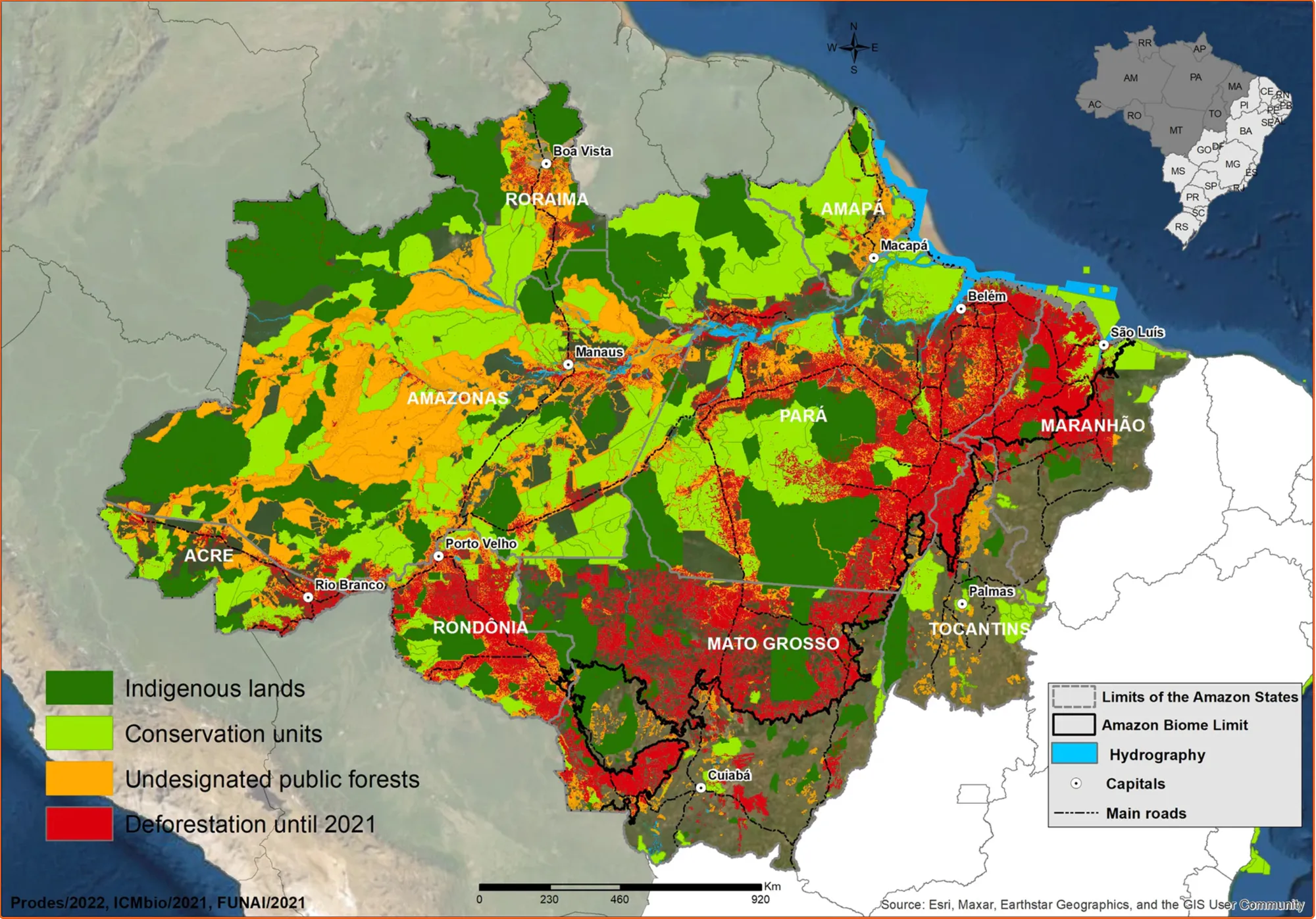 Save the Brazilian Amazon