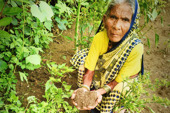 Cultivating Resilience: Regenerative Farming Across Indian Heartlands