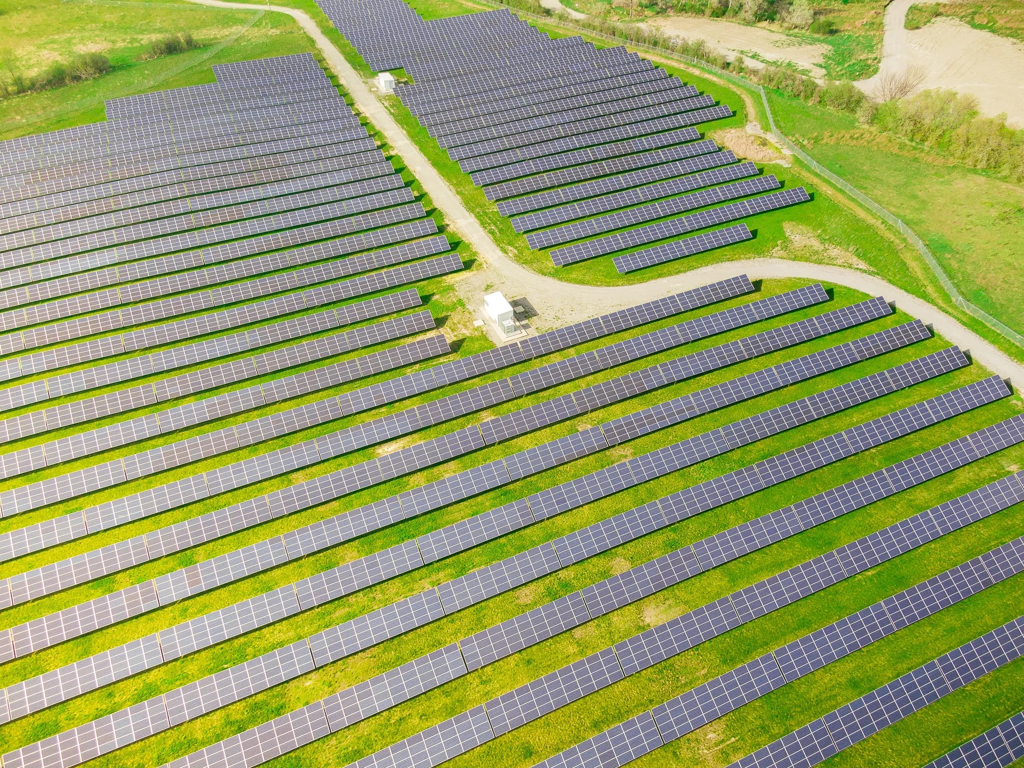 What Are Carbon Offsets? Everything You Need To Know