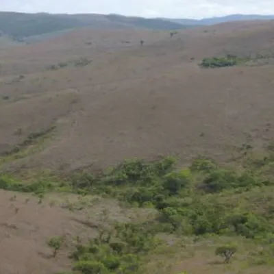 Reforestation of Degraded Grasslands in Uchindile & Mapandaarbon
