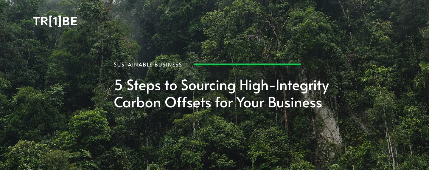 5 Steps to Sourcing High-Integrity Carbon Offsets for Your Business