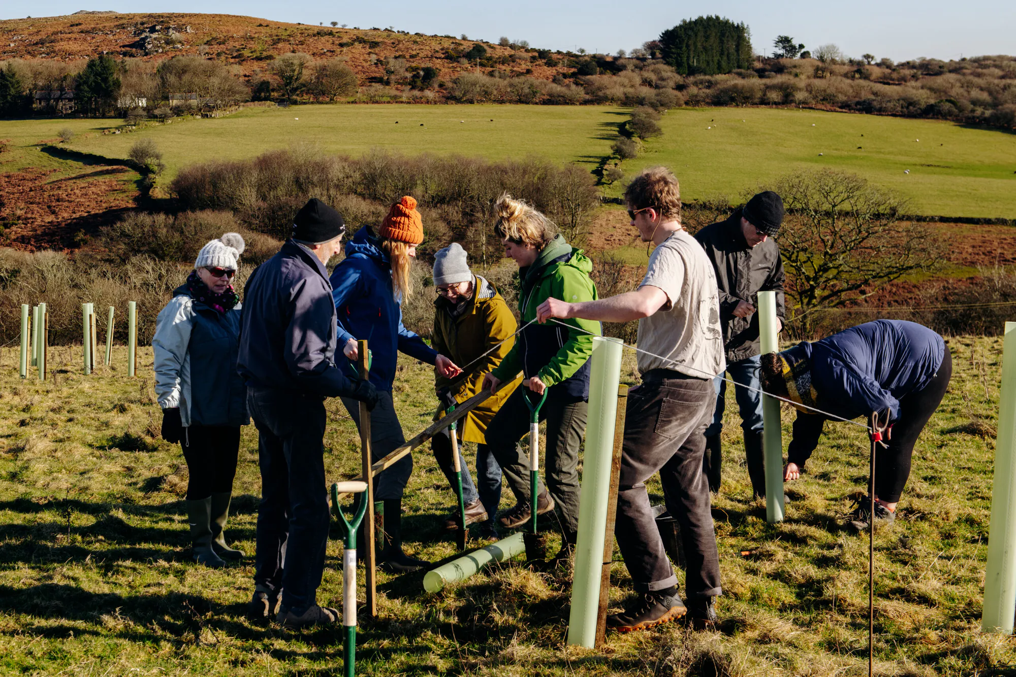 Restoring the Ancient Celtic Rainforest In Cornwall