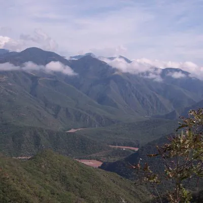 Protect Mexico’s Monarch Corridor in the Sierra Madre Oriental mountains