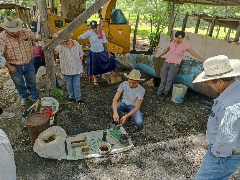 Restoring the Jaguar’s Realm: A Reforestation Initiative in Southeast Mexico