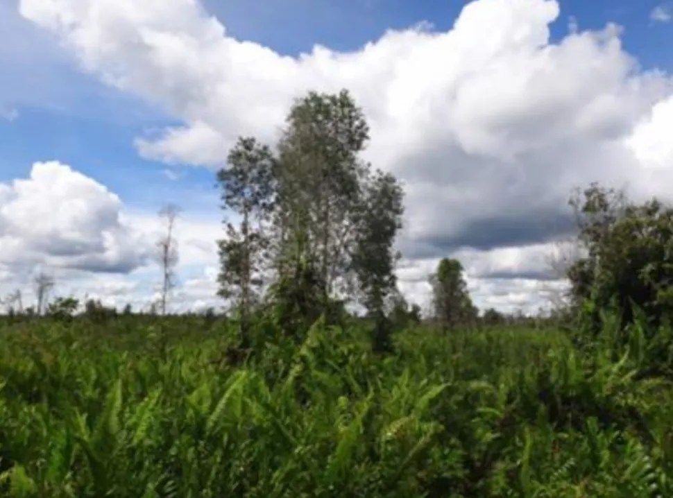 Biodiversity and wetlands reserve project