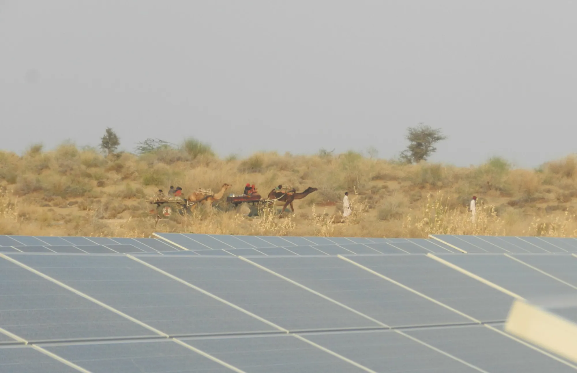 Energising Rajasthan with Solar Power