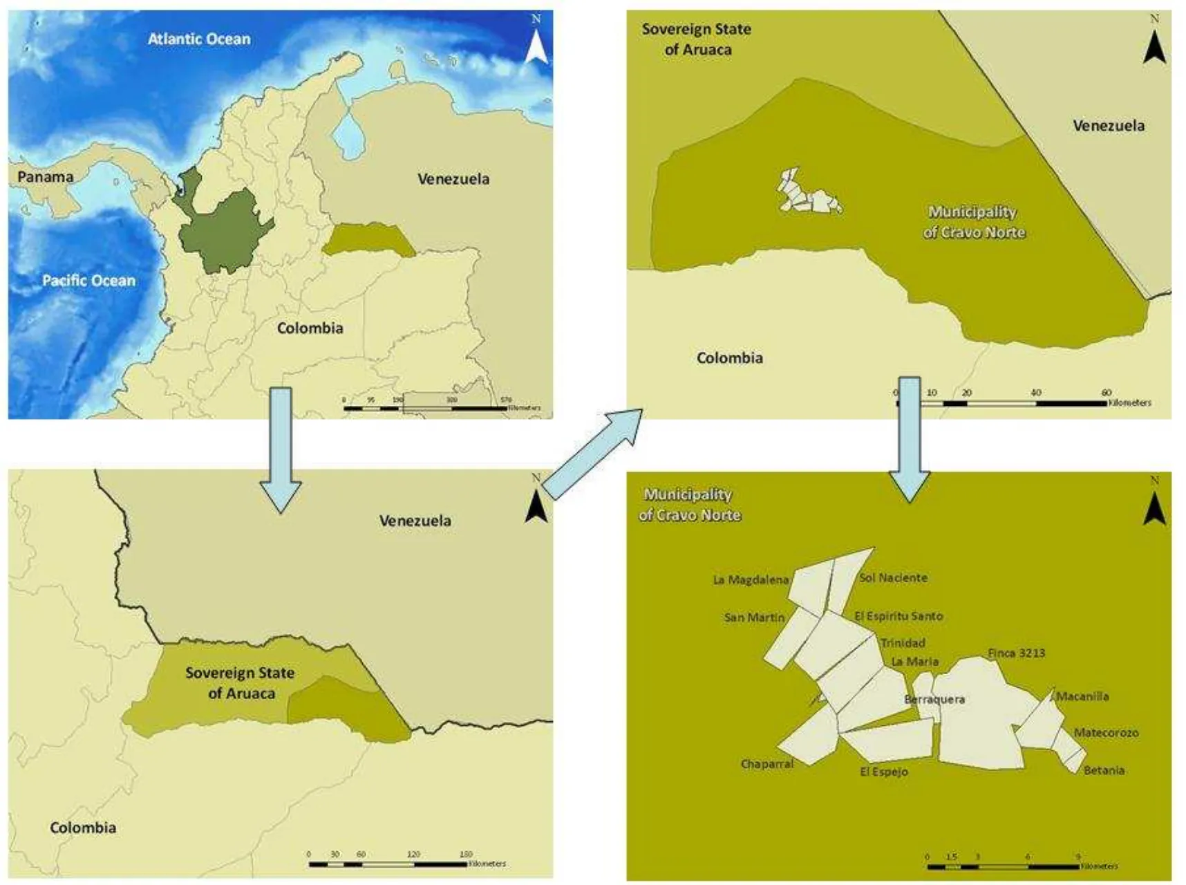 Restoration of Degraded Areas and Reforestation in Cáceres and Cravo Norte, Colombia