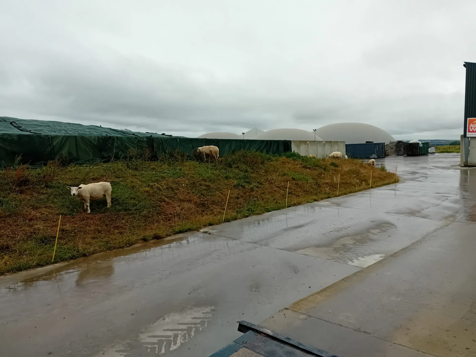 Biogas Production from Agricultural Waste