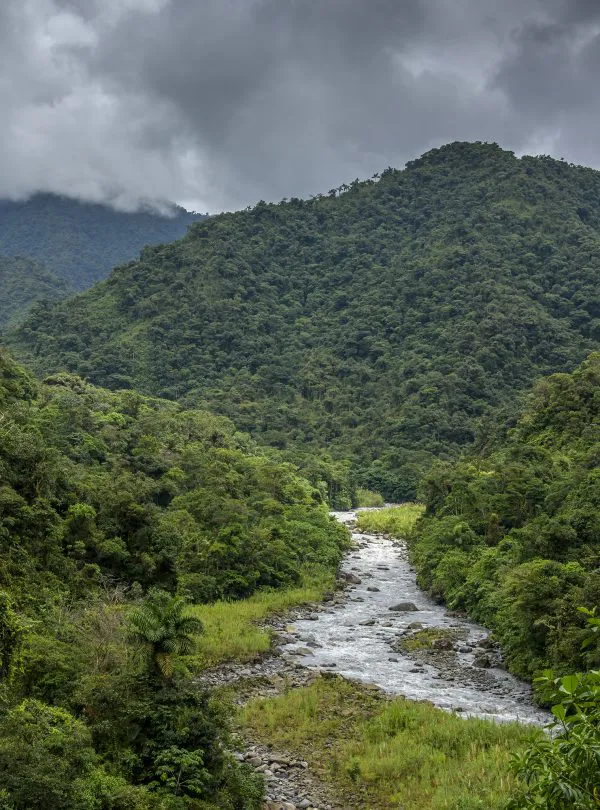 Protecting the Toldopampa Cloud Forest