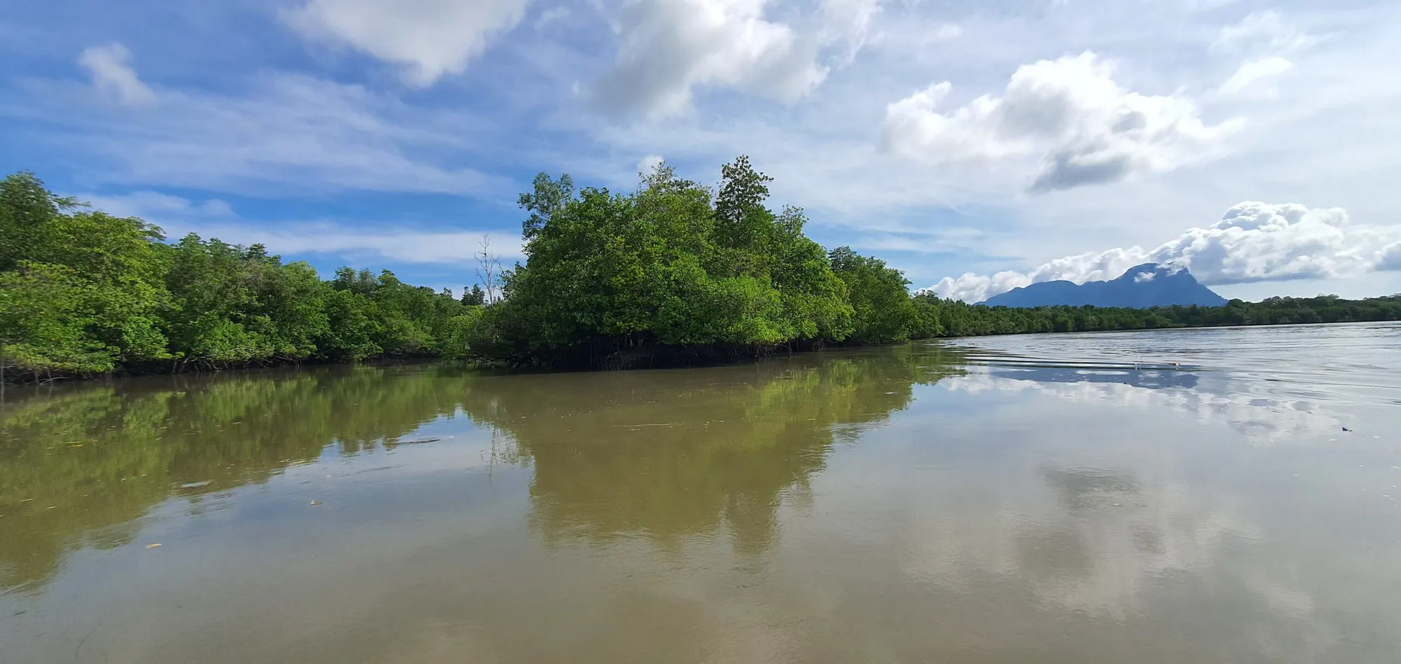 Rimba Raya Biodiversity and Wetland Restoration