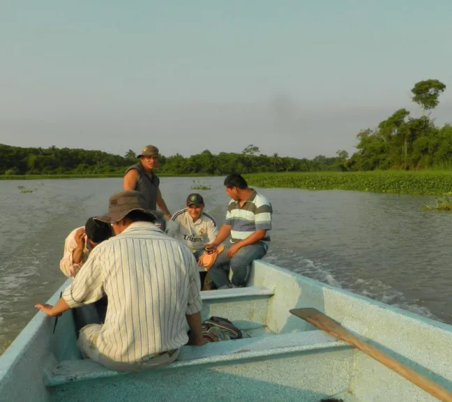 Mangrove Restoration in Mexico – Manglares Ursulo Galvan