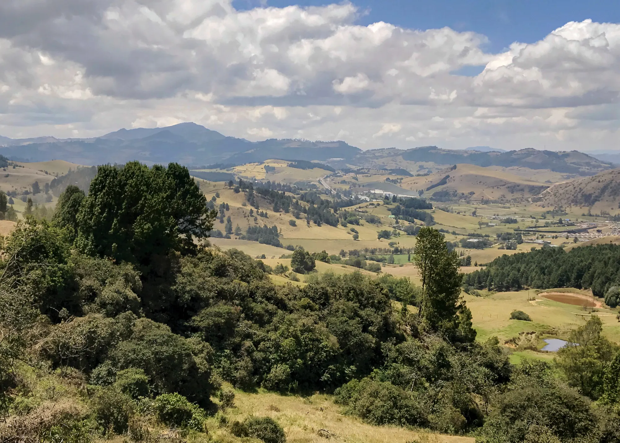 Restoration of Degraded Areas and Reforestation in Cáceres and Cravo Norte, Colombia