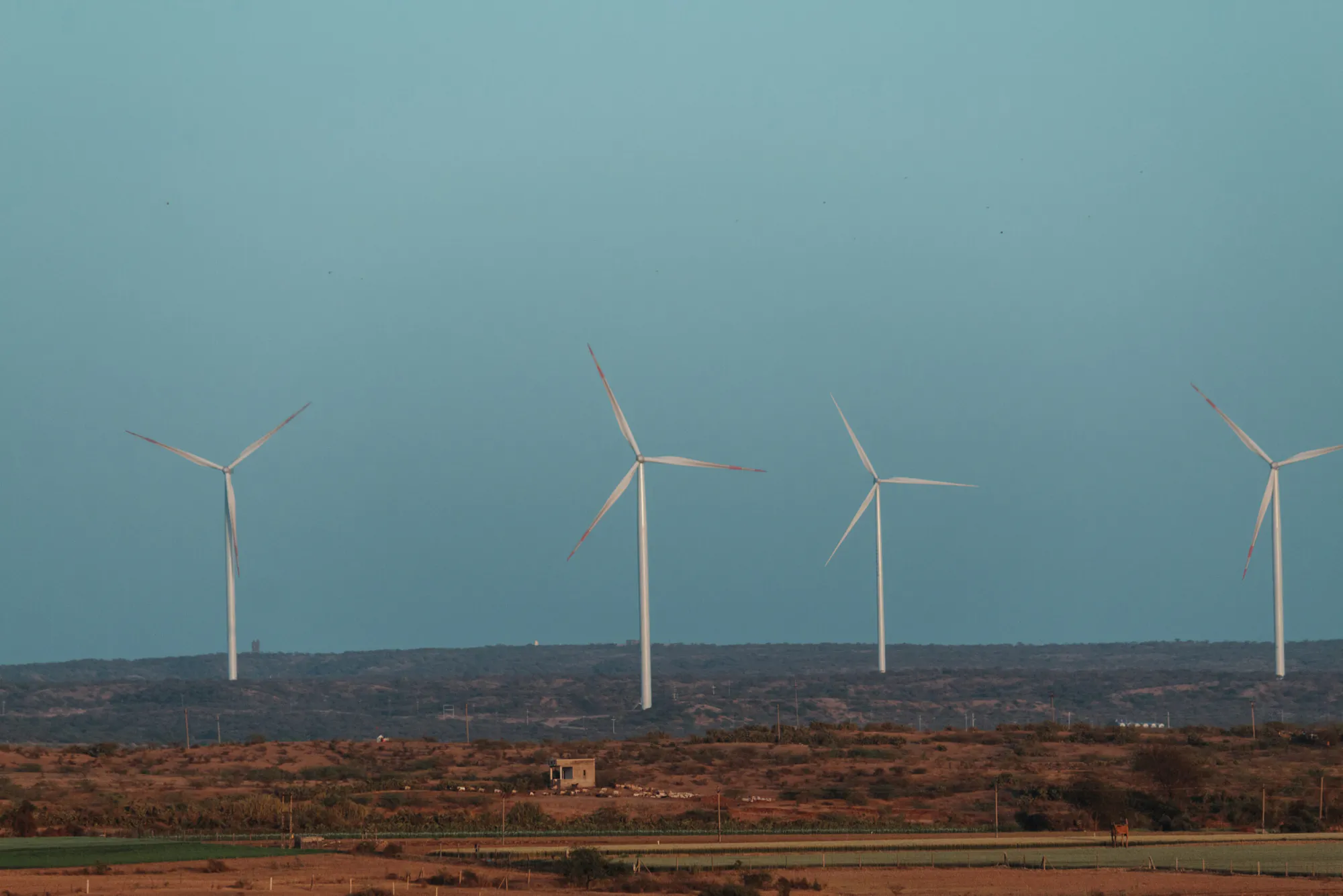 Renewable Wind Power in India