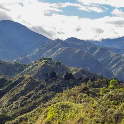Safeguarding Colombia’s Forests and Coastal Ecosystems