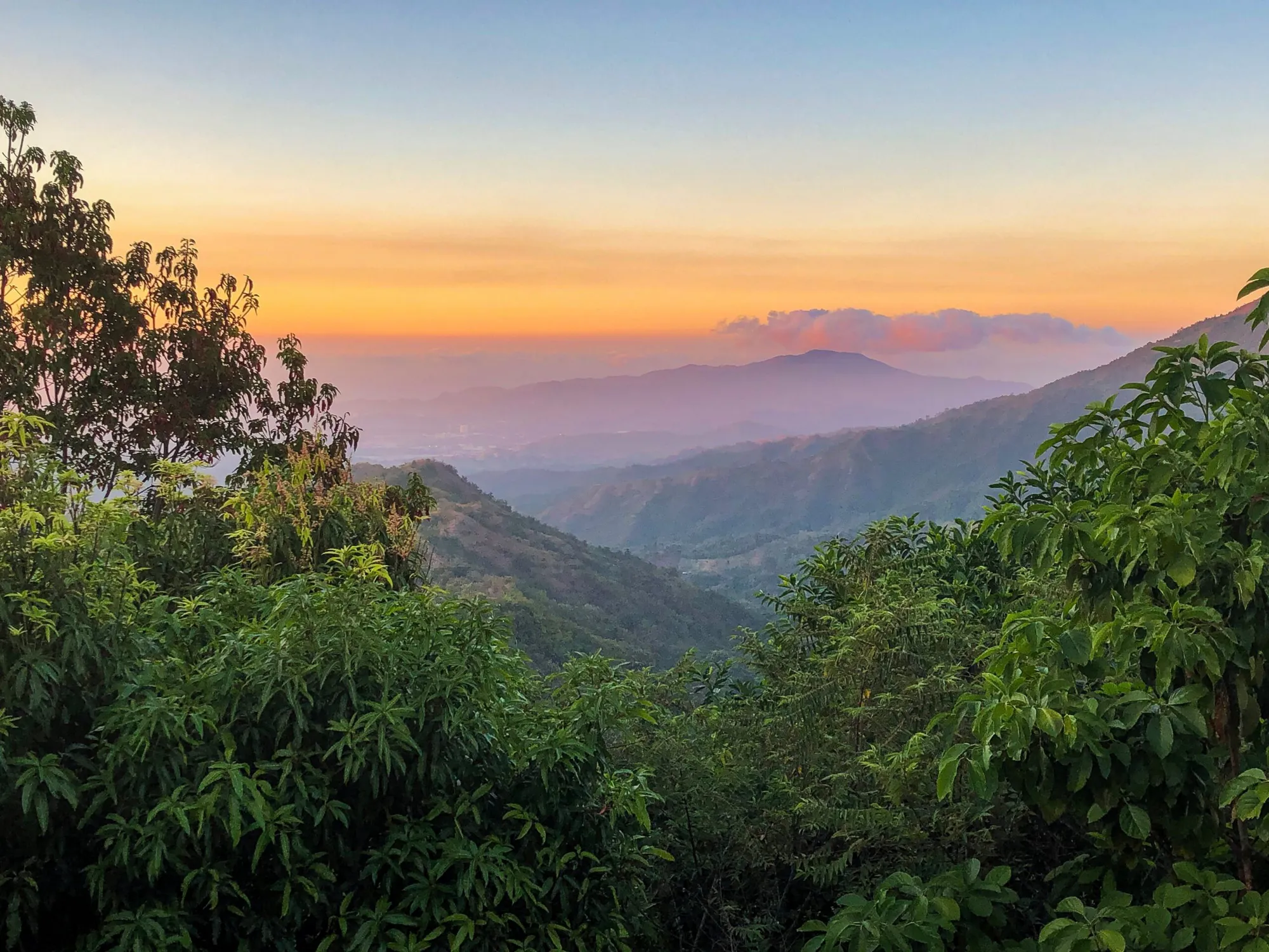 Restoration of Degraded Areas and Reforestation in Cáceres and Cravo Norte, Colombia