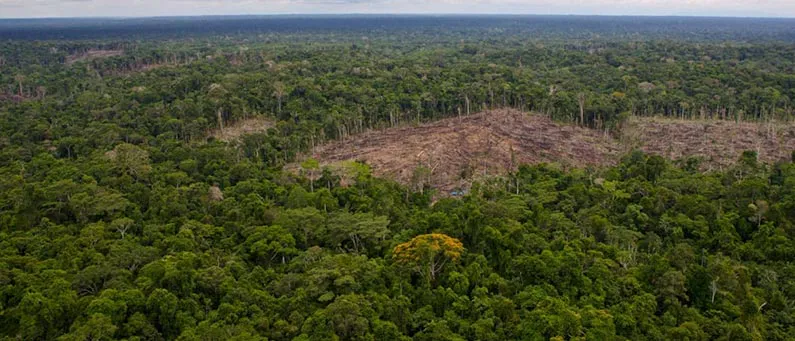 Saving Indigenous lands in the Amazon