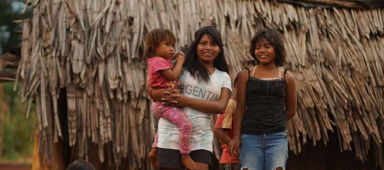 Parana Rainforest Restoration