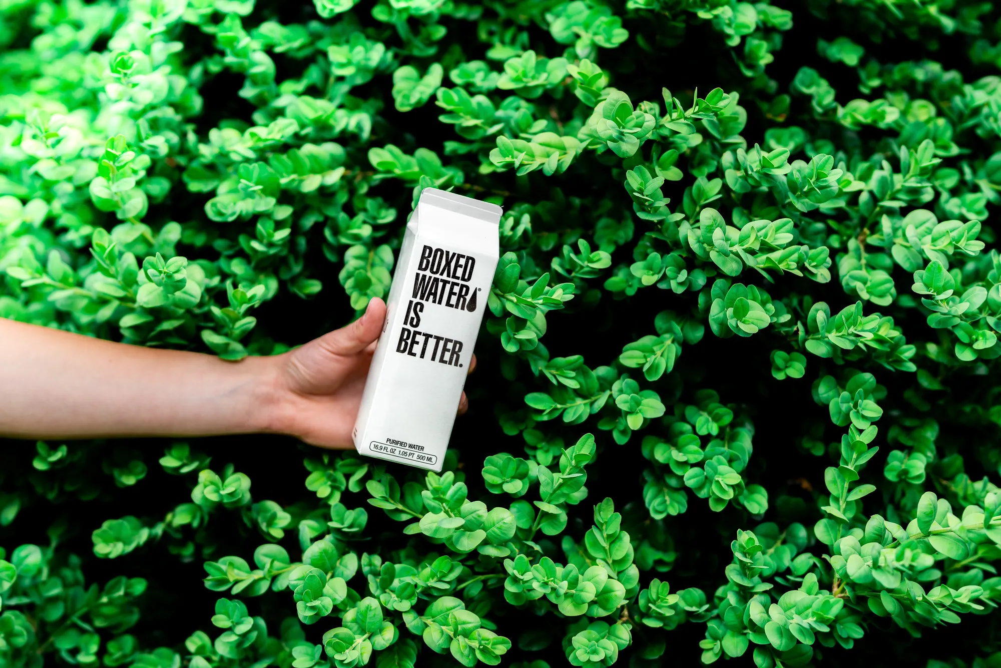 6 Sustainable Packaging Materials Your Business Needs to be Using