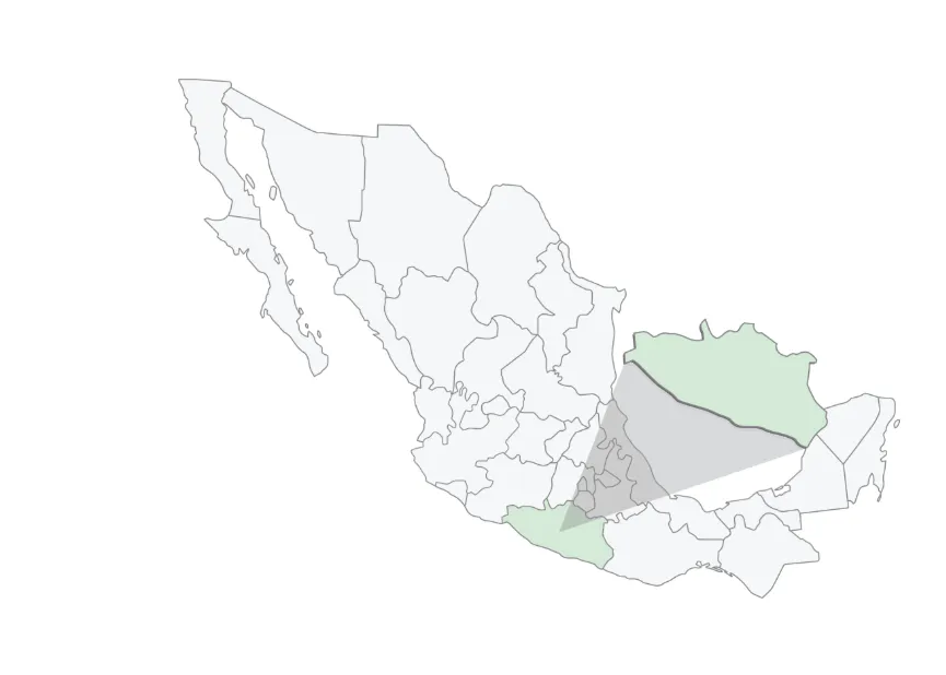 Preserving Indigenous Forest Landscapes in Oaxaca