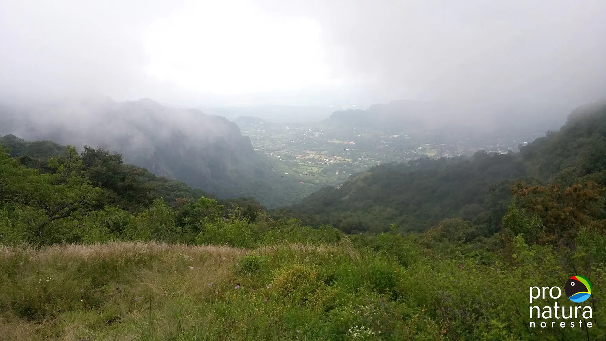 Protect Mexico’s Monarch Corridor in the Sierra Madre Oriental mountains