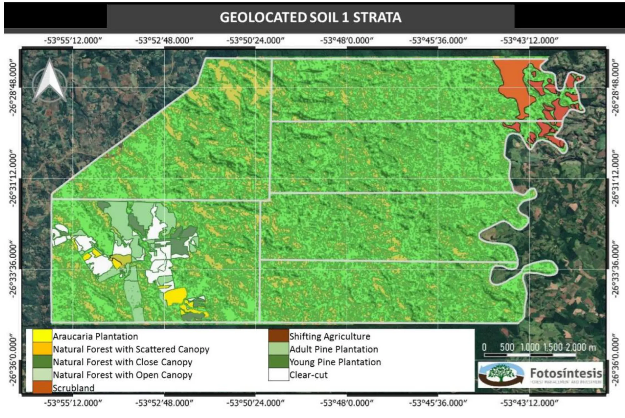 Parana Rainforest Restoration