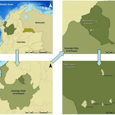 Restoration of Degraded Areas and Reforestation in Cáceres and Cravo Norte, Colombia