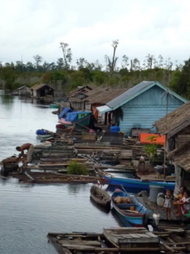 Biodiversity and wetlands reserve project