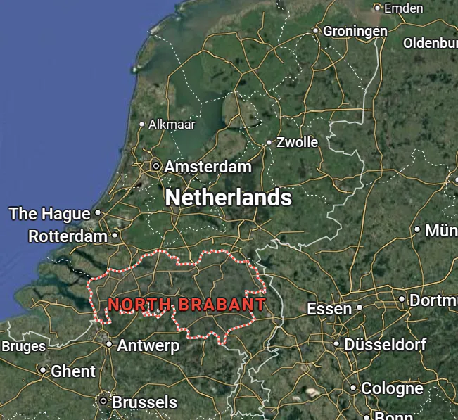 Paulownia Agroforestry in the Netherlands
