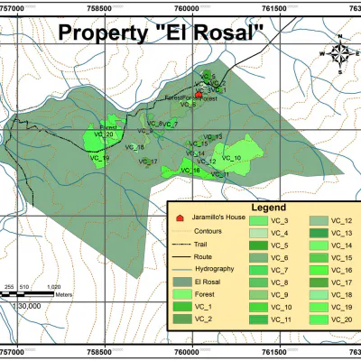 Reforestation of Degraded Lands in Valle California, Patagonia, Chile