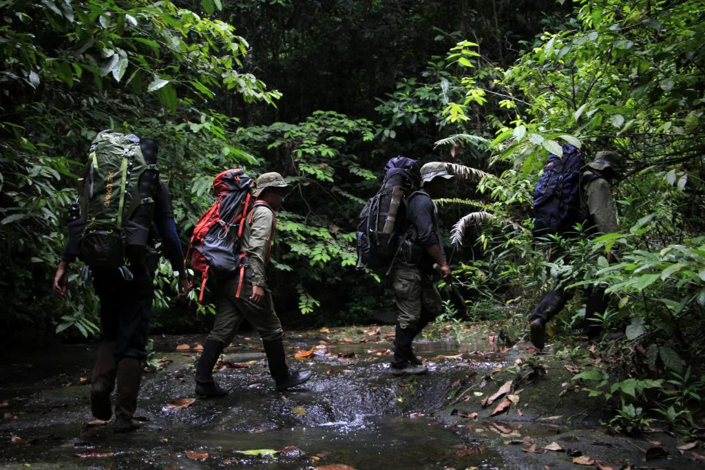 Protect the Leuser Ecosystem on the island of Sumatra