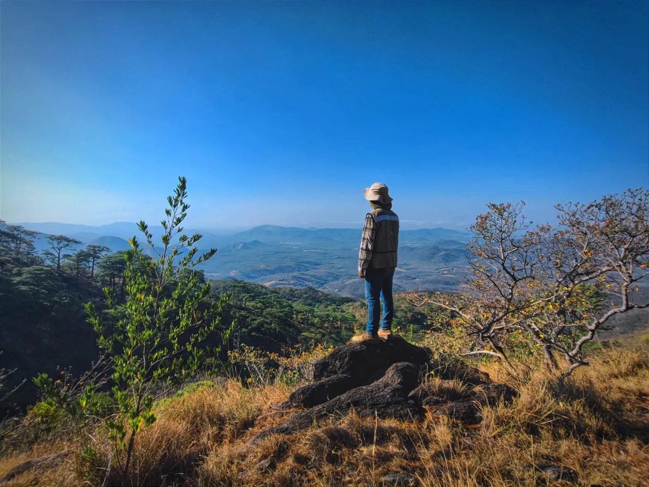 Preserving Indigenous Forest Landscapes in Oaxaca