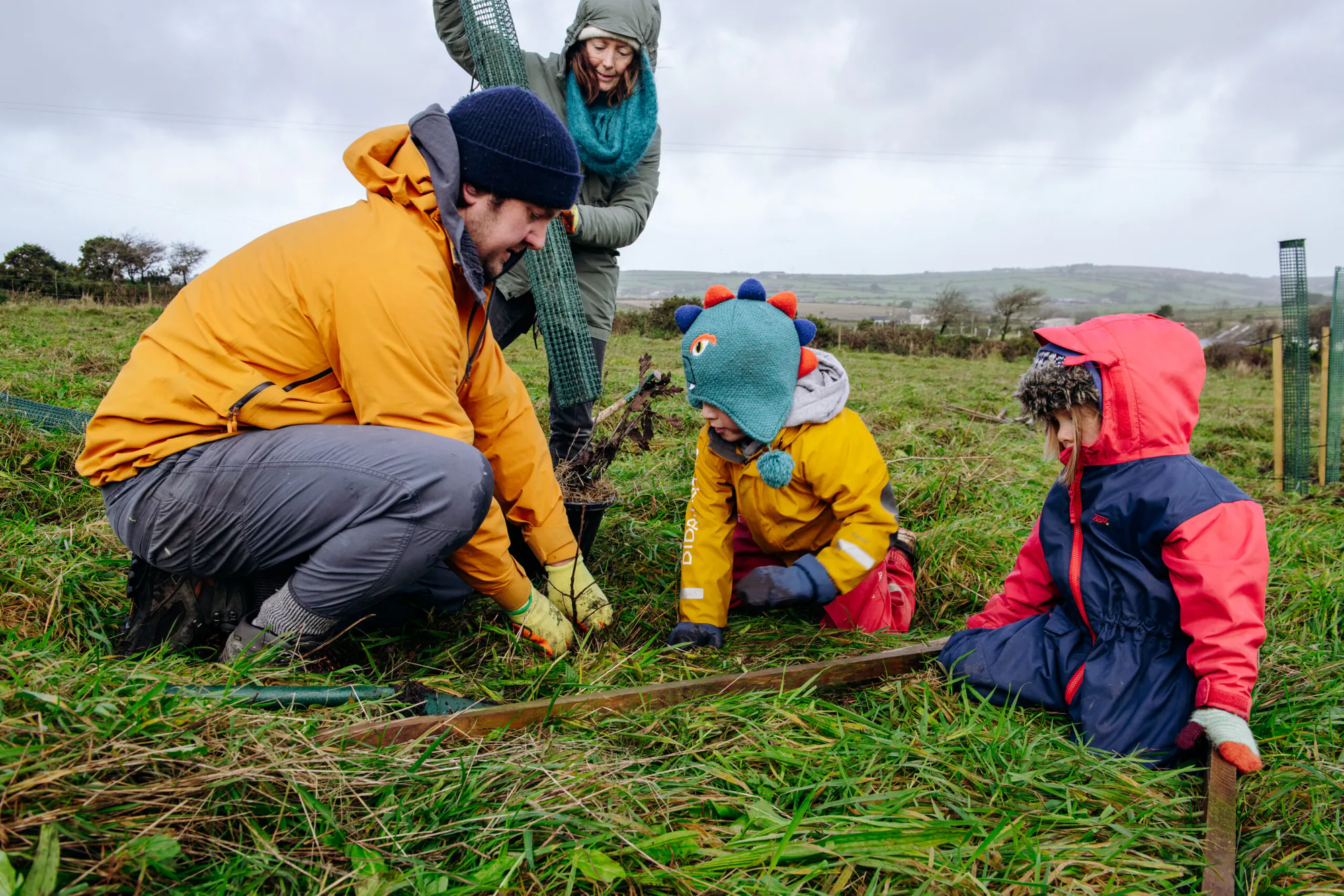 Restoring the Ancient Celtic Rainforest In Cornwall