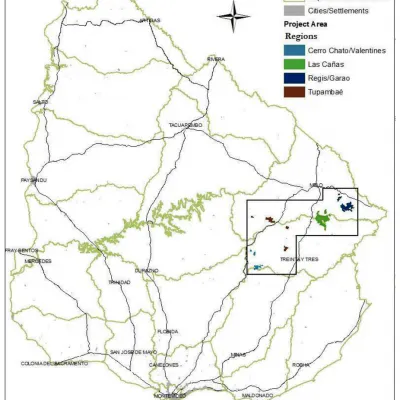 Reforestation of Degraded Grasslands in Uruguay