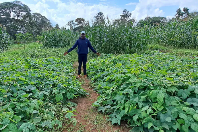 Cultivating Carbon: Regenerating East Africa’s Soils