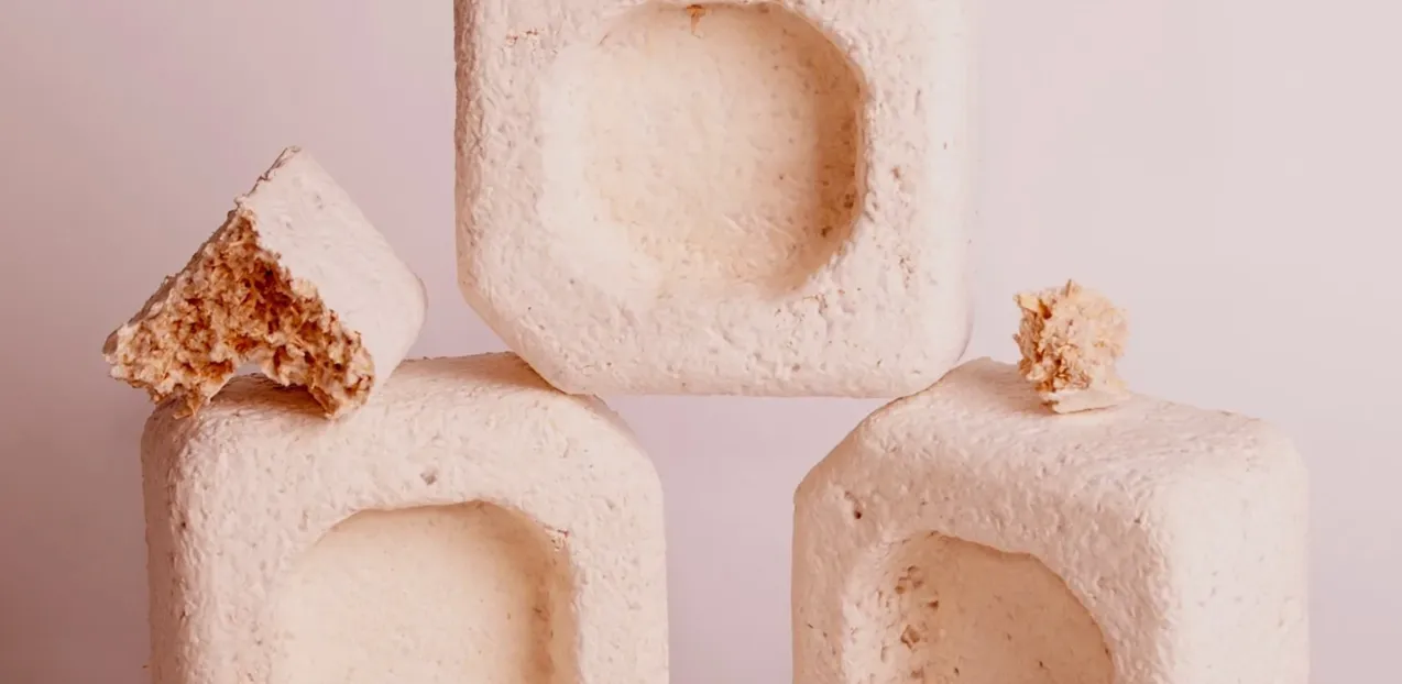 6 Sustainable Packaging Materials Your Business Needs to be Using