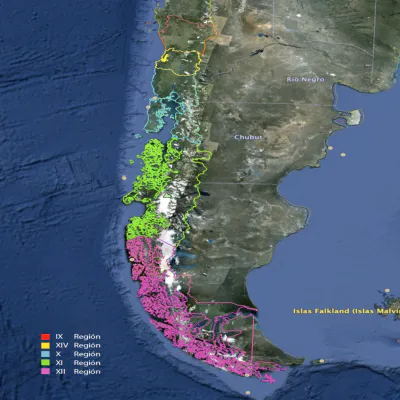 Reforestation of Degraded Lands in Valle California, Patagonia, Chile