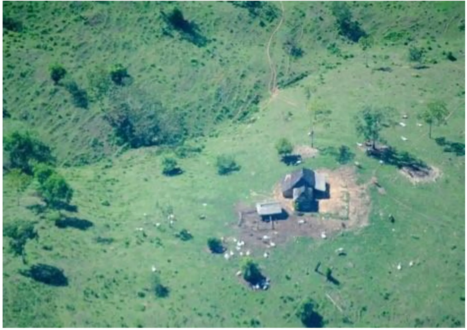 Reforestation and Agroforestry on Degraded Lands