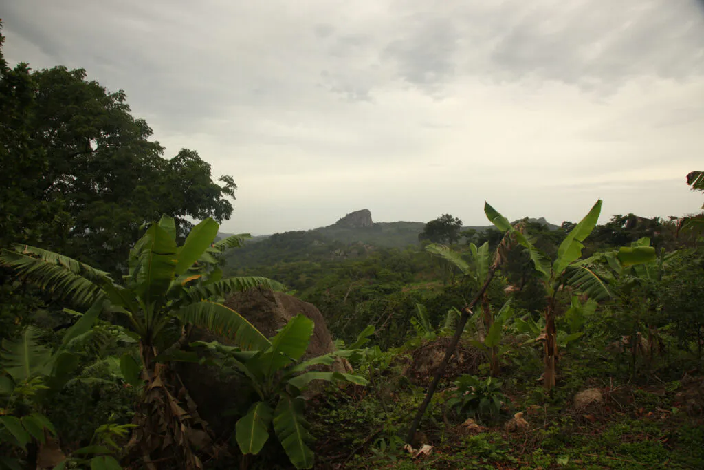 Reforestation of Degraded Lands in Sierra Leone