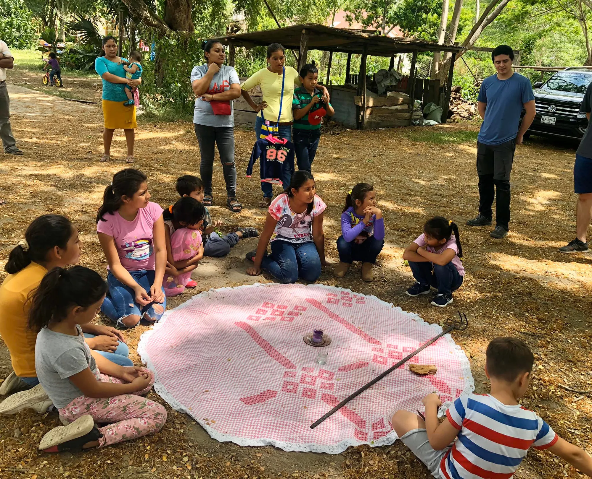 Restoring the Jaguar’s Realm: A Reforestation Initiative in Southeast Mexico