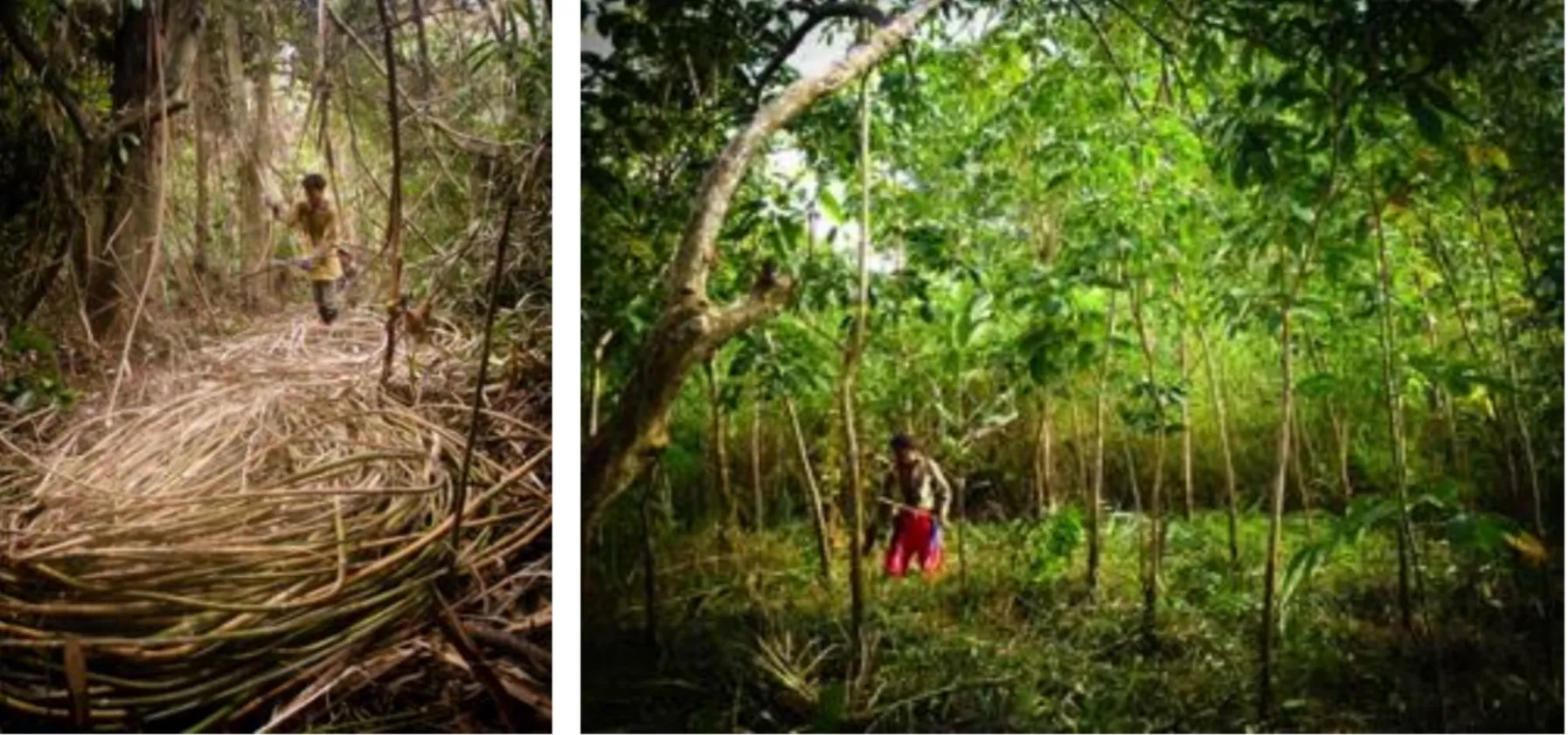 Biodiversity and wetlands reserve project