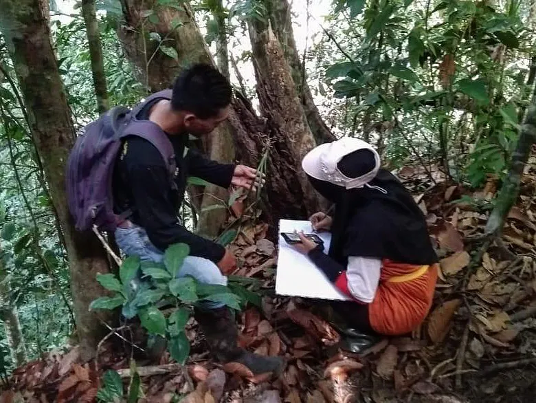 Protect the Leuser Ecosystem on the island of Sumatra