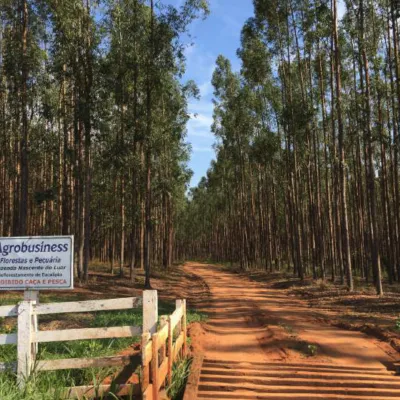 Savannah Regeneration and Recovery Agroforestry Project