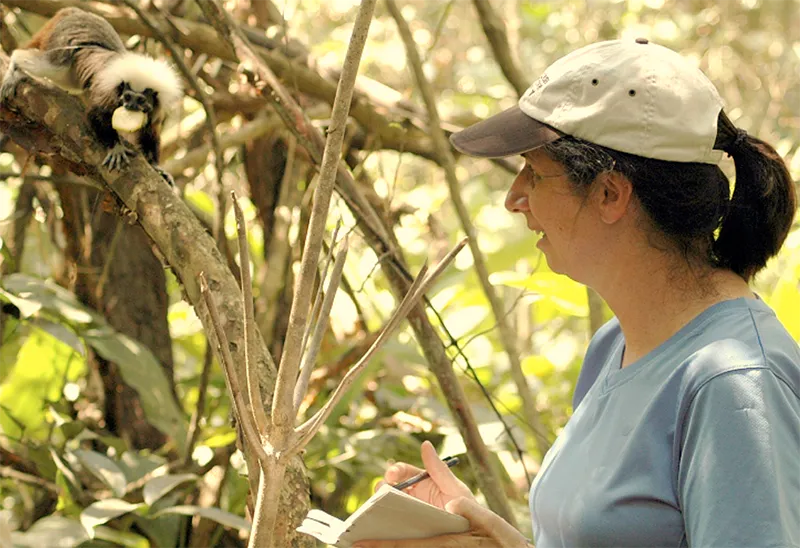Expanding the Los Tities de San Juan Reserve