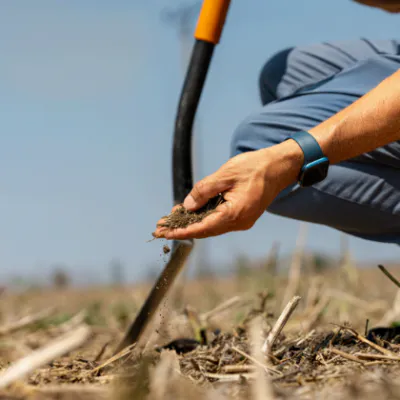 Agreena Carbon Soil Restoration and Carbon Removals Project