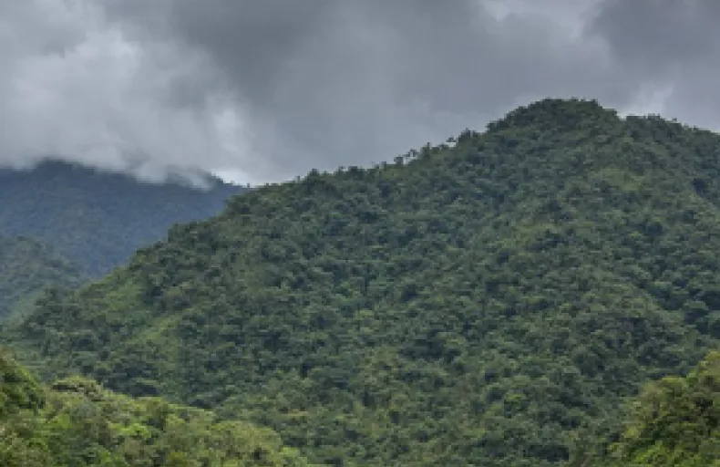Eastern DRC: Protect Africa’s Biodiversity Hotspot