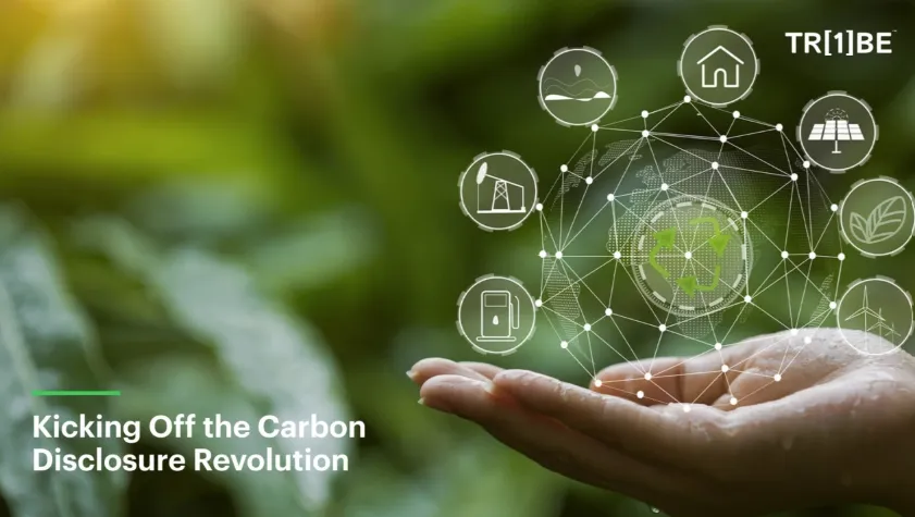 Net Zero: Understanding Climate Claims Disclosure