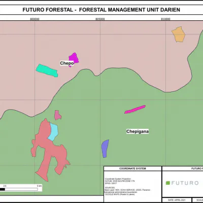 Generation Forest Group Project