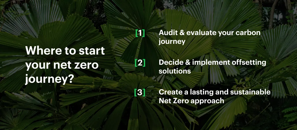 What is Net Zero and How Do We Get There?