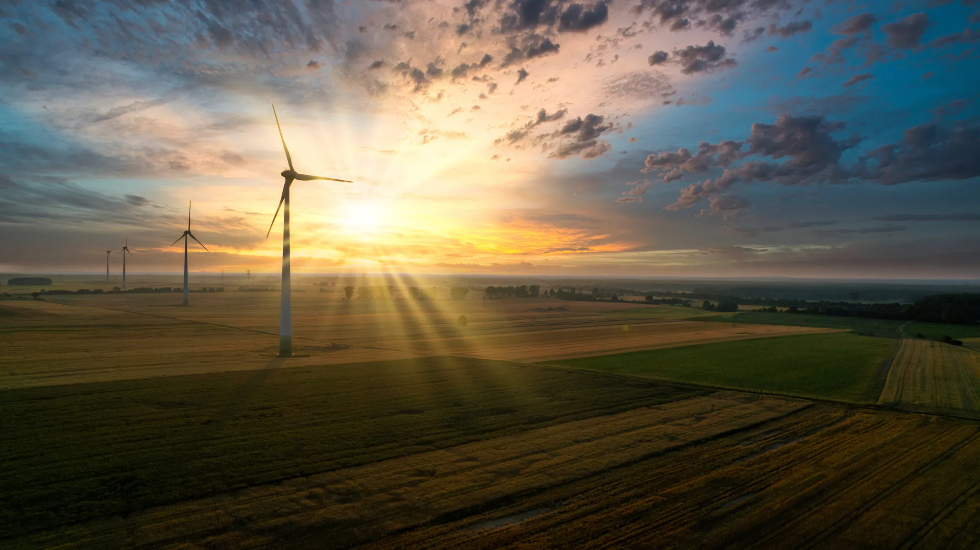 49.5 MW Wind Power Project