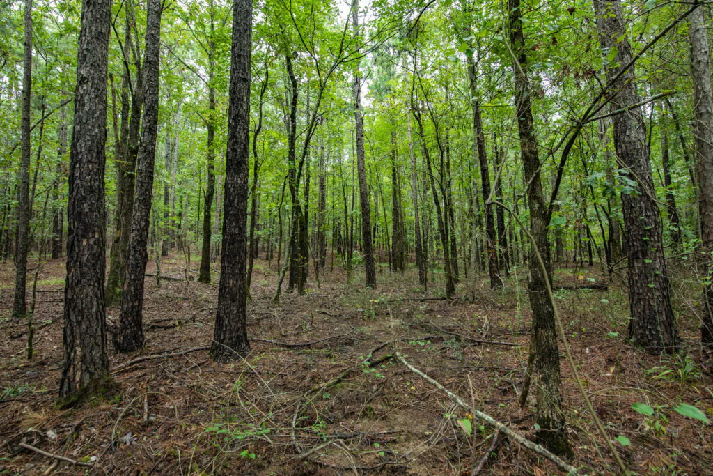 Revitalizing Land and Curbing Methane Emissions in Oklahoma